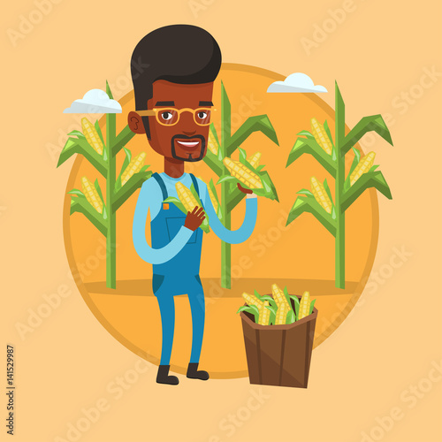 Farmer collecting corn vector illustration.