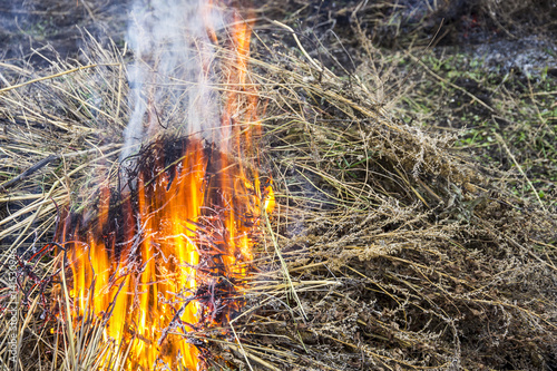 Strong fire from burning dry grass