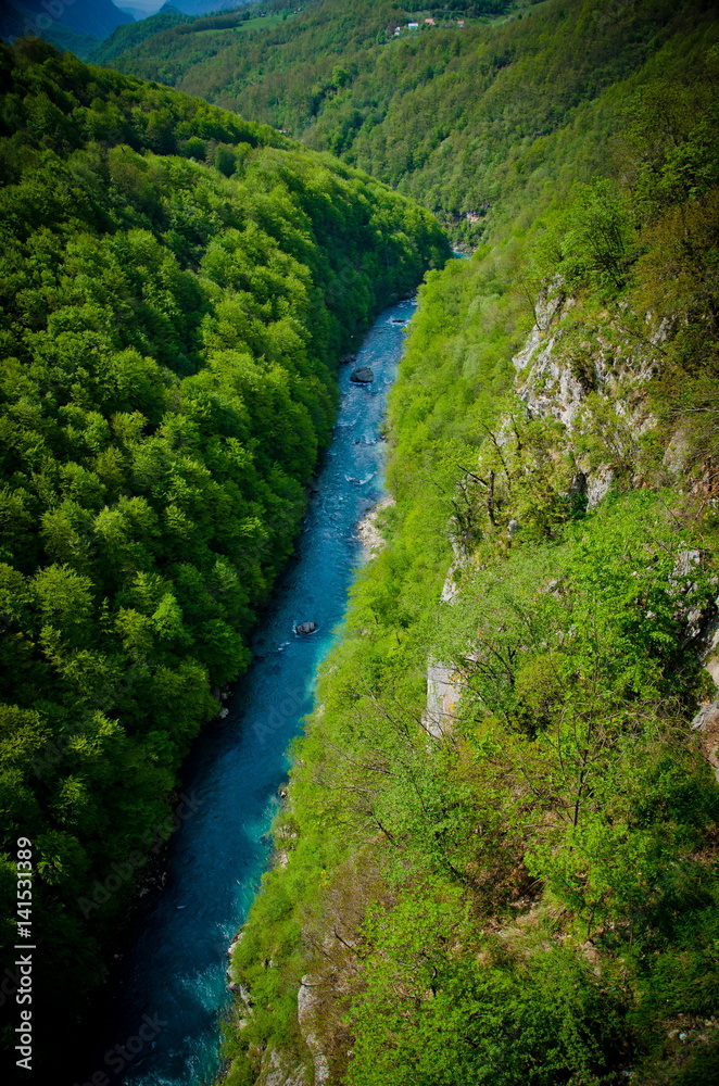 Canyon of the river Tara
