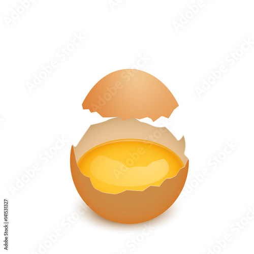 Broken egg shell with yolk, realistic vector illustration, isolated on white