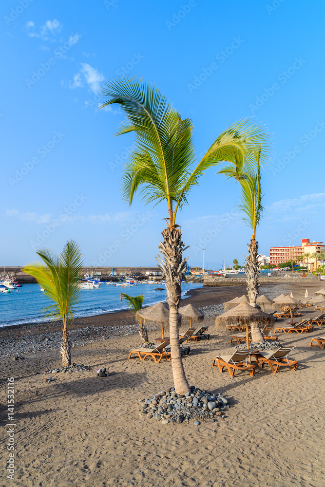 Palm trees on black sand volcanic beach in San Juan port, Tenerife island, Spain