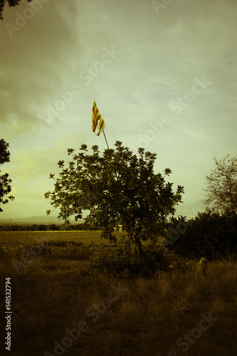 Vietnamese Tree