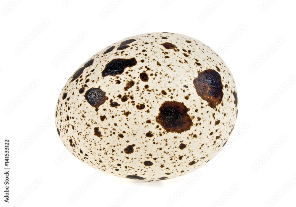 Quail egg on a white background Quail egg on a white background
