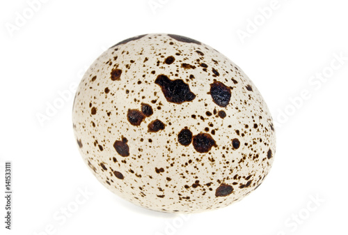 Quail egg on a white background