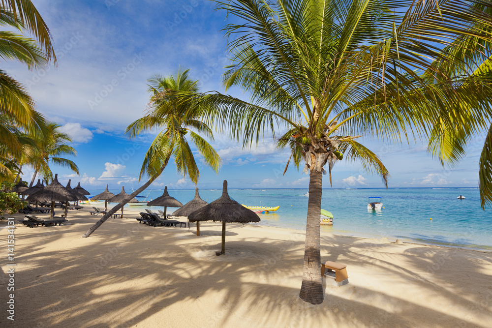 Mauritius, exotic beach with palm trees, travel destination