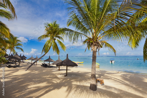 Mauritius, exotic beach with palm trees, travel destination