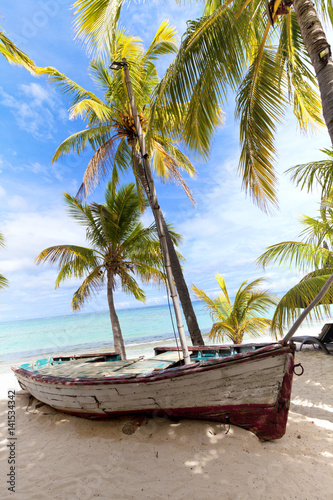 Fototapeta Naklejka Na Ścianę i Meble -  Mauritius, exotic beach with palm trees, travel destination