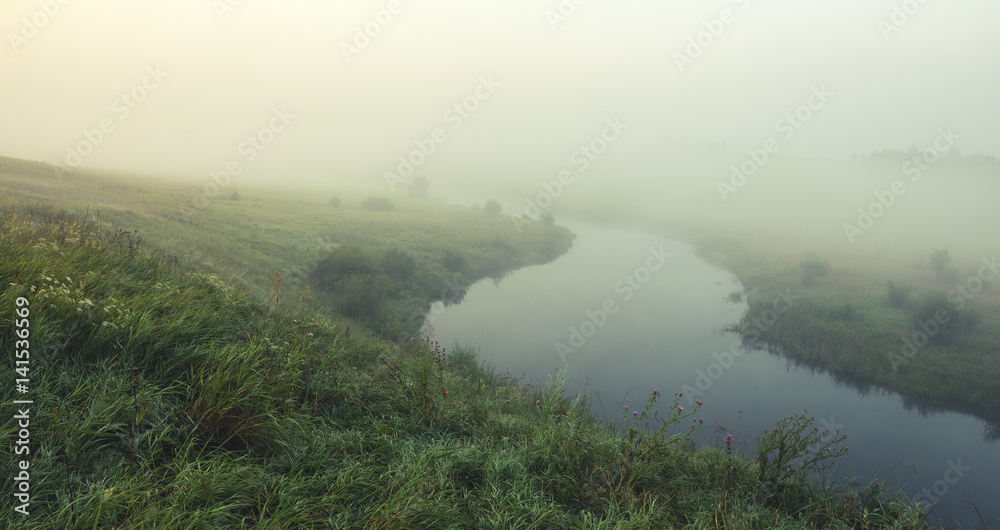 Foggy summer landscape Foggy summer landscape