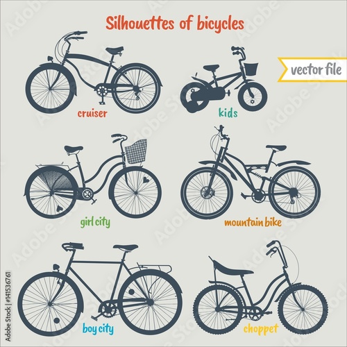 Bicycle types in colorful vector collection