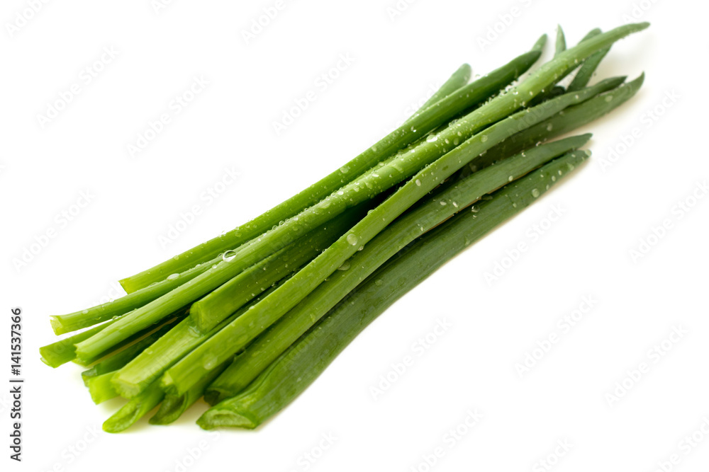 green leaves of onions on white green leaves of onions on white