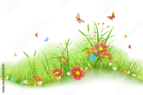 Vector green grass, flowers and butterflies