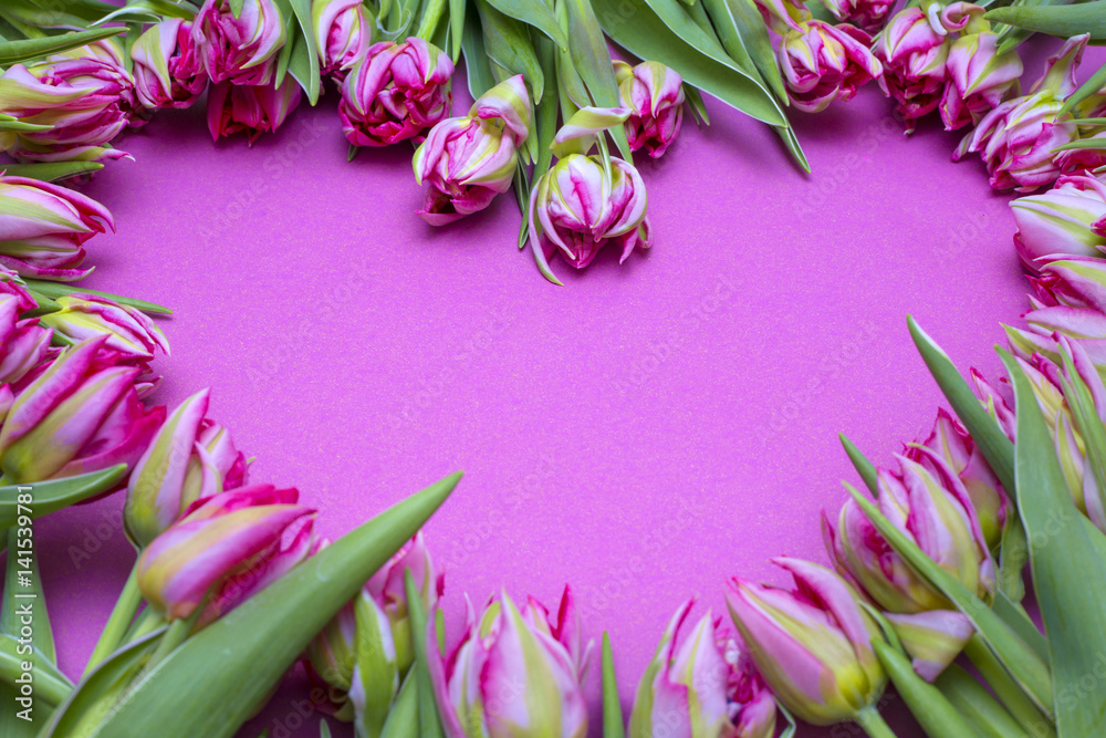 pink tulips on a pink background. Frame of flowers. Valentine's Day, Mother's Day
pink tulips on a pink background. Frame of flowers. Valentine's Day, Mother's Day