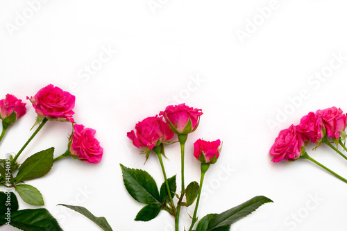 Pink roses on white background. Flat lay, top view
