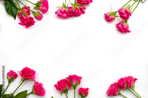 Flowers frame  branches isolated on white background. Flat lay  Top view