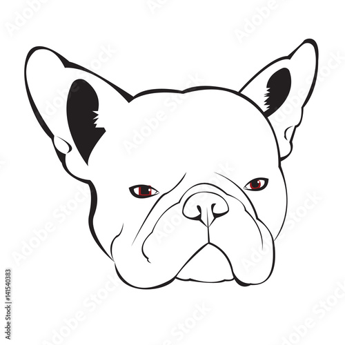 dog, puppy, breed, cute, graphic, vector, background