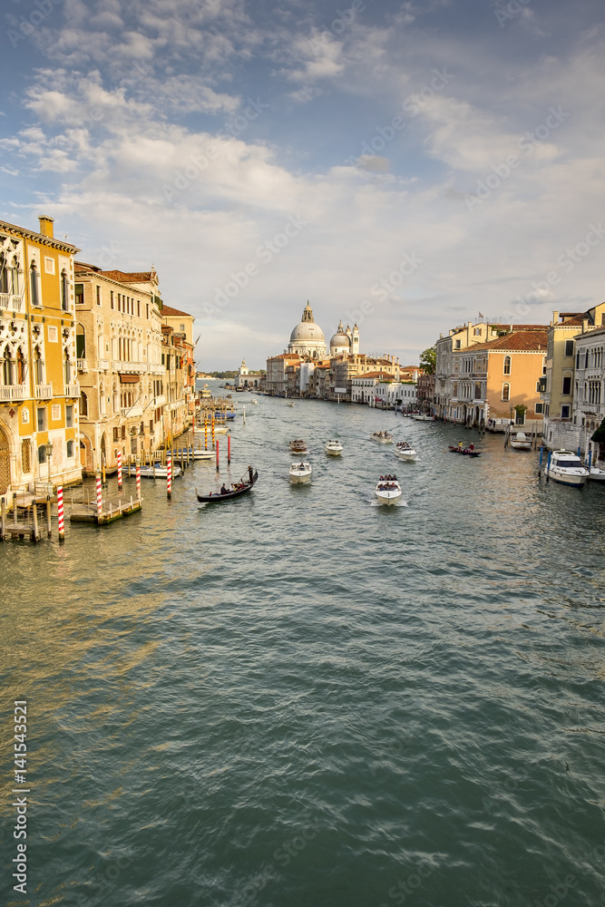 View from Academia bridge on Grand Canal and Basilica Santa Maria della Salute and cruise ship, Venice, Italy