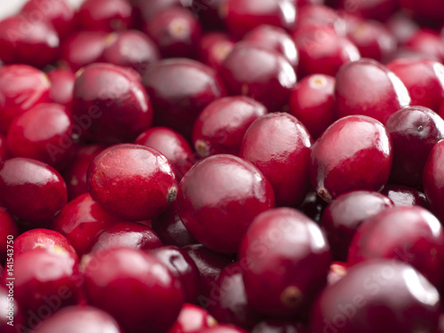 CRANBERRIES