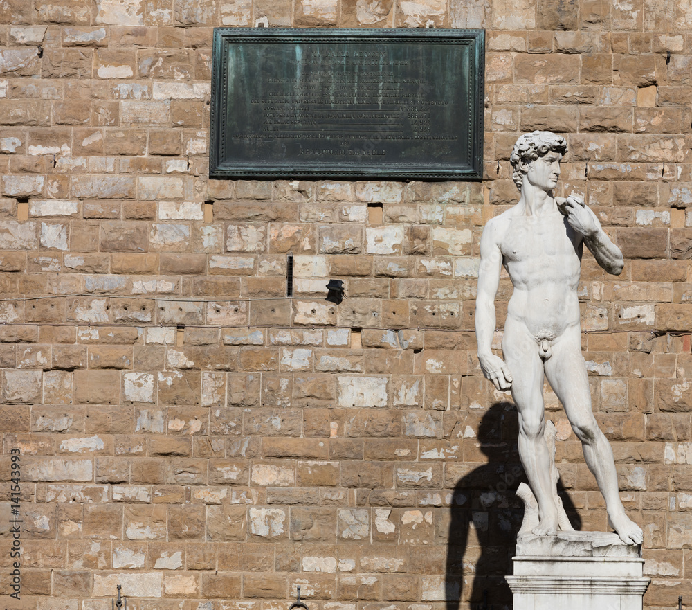 Naklejka premium David by Michelangelo