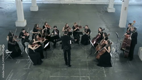 Orchestra. Musician playing violin on the symphony hall