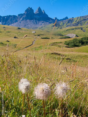 Aiguilles d?Arves, Savoie, Rh?ne-Alpes, France photo