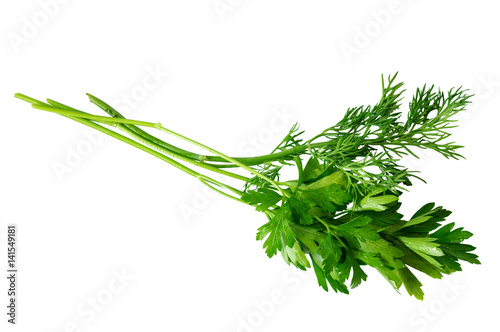useful parsley isolated on white background