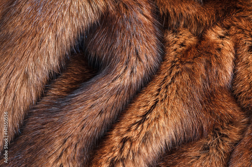 natural fur closeup