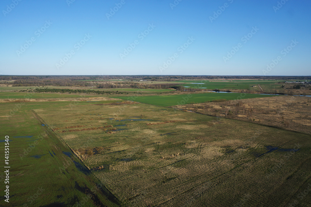 Obraz premium summer landscape