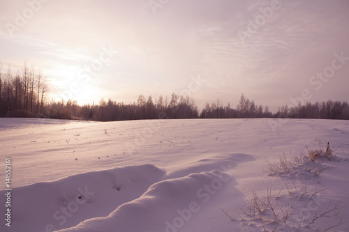 Snow field at winter. © pictures_for_you
