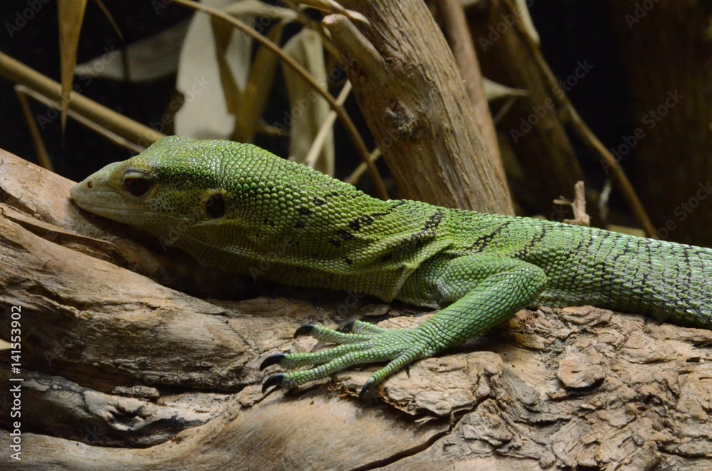 Naklejka premium Londyn