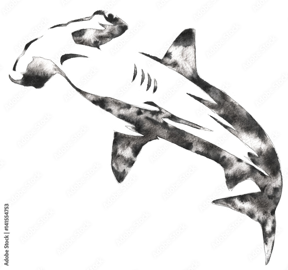 Fototapeta premium black and white monochrome painting with water and ink draw hammerhead illustration