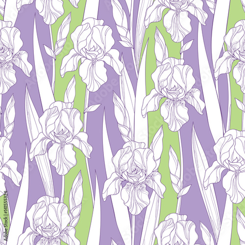 Fototapeta Naklejka Na Ścianę i Meble -  Vector seamless pattern with outline Iris flowers in white, bud and leaves on the green and lilac background. Floral background with ornate Iris in contour style for spring or summer design.