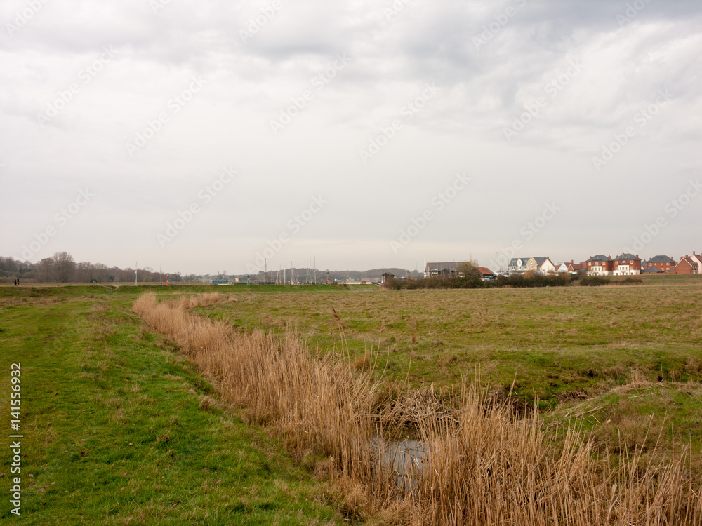 Wivenhoe Plain