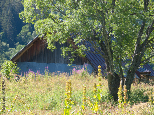 les pres plans,saint sorlin,haute savoie,france photo