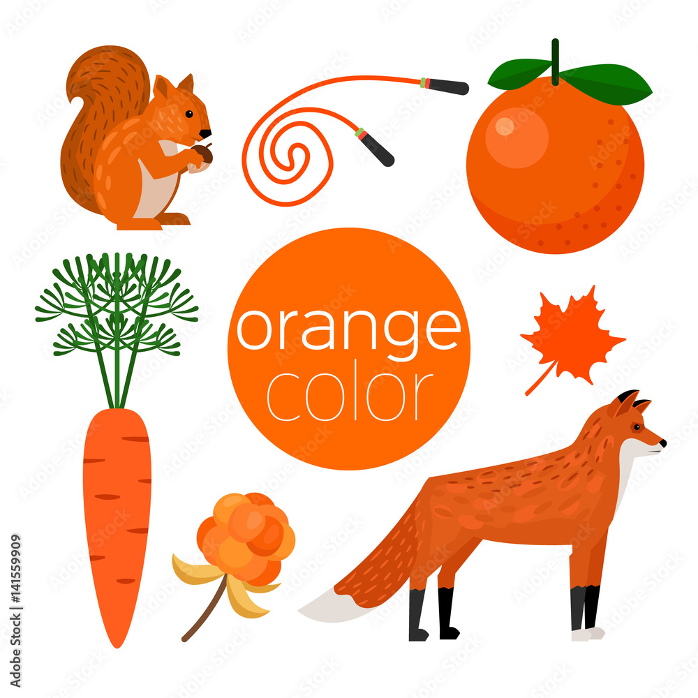 Set of orange color items squirrel, carrot, orange, fox, cloudberry