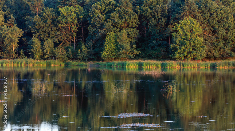 Evening summer lake landscape. Evening summer lake landscape.