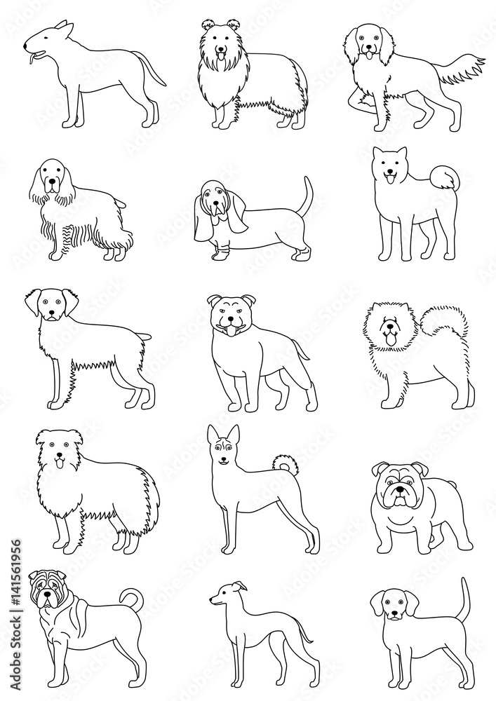 medium dog breeds line art set