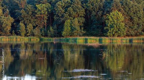 Fototapeta Naklejka Na Ścianę i Meble -  Evening summer lake landscape.
