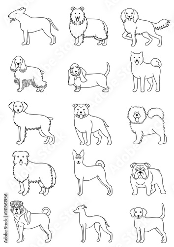 medium dog breeds line art set