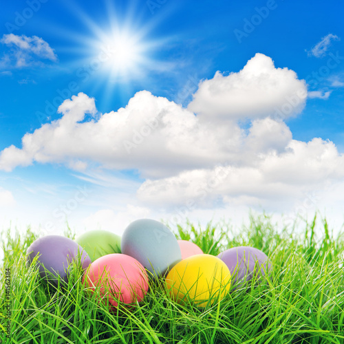 Easter eggs green grass Sunny blue sky