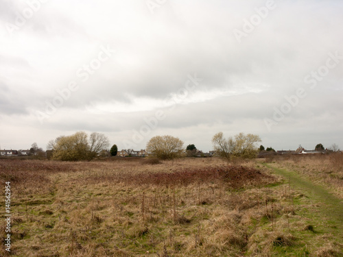Wivenhoe Field