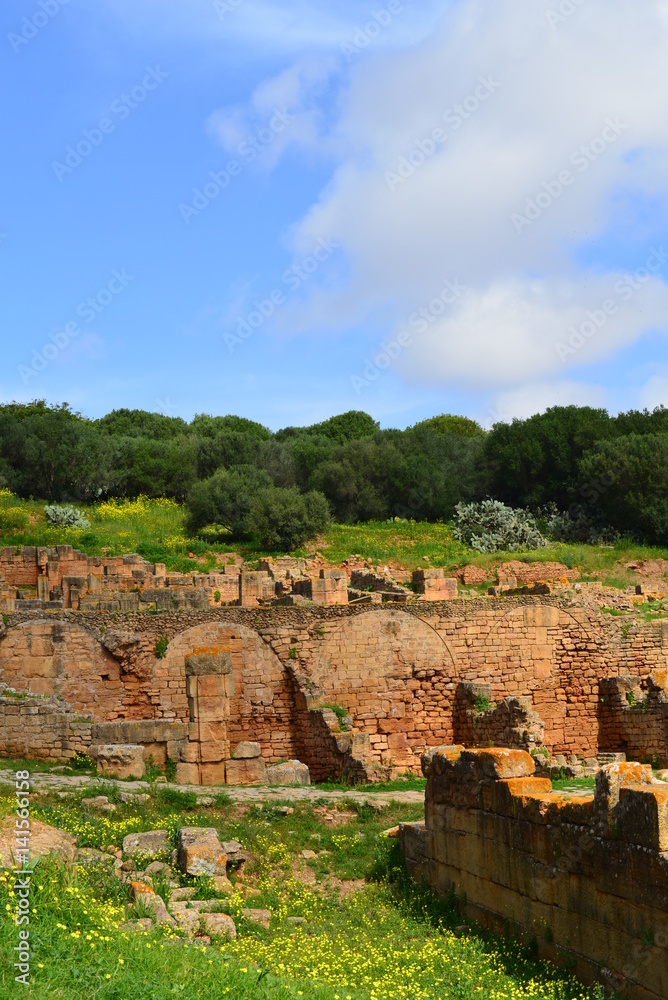 Ruine und Totenstadt Chellah in Rabat - Marokko
