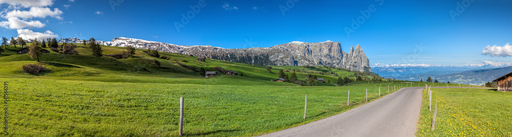 Wanderweg auf der Seiser Alm