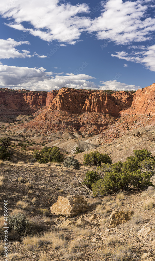 Fototapeta premium Chimney Rock Trail View