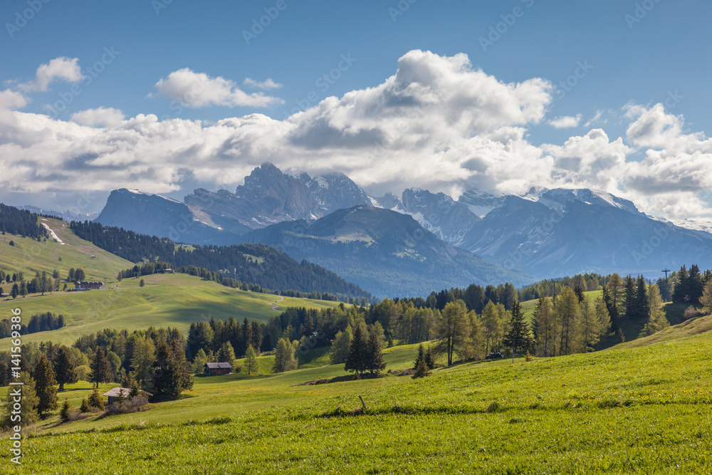 Almwiesen auf der Seiser Alm