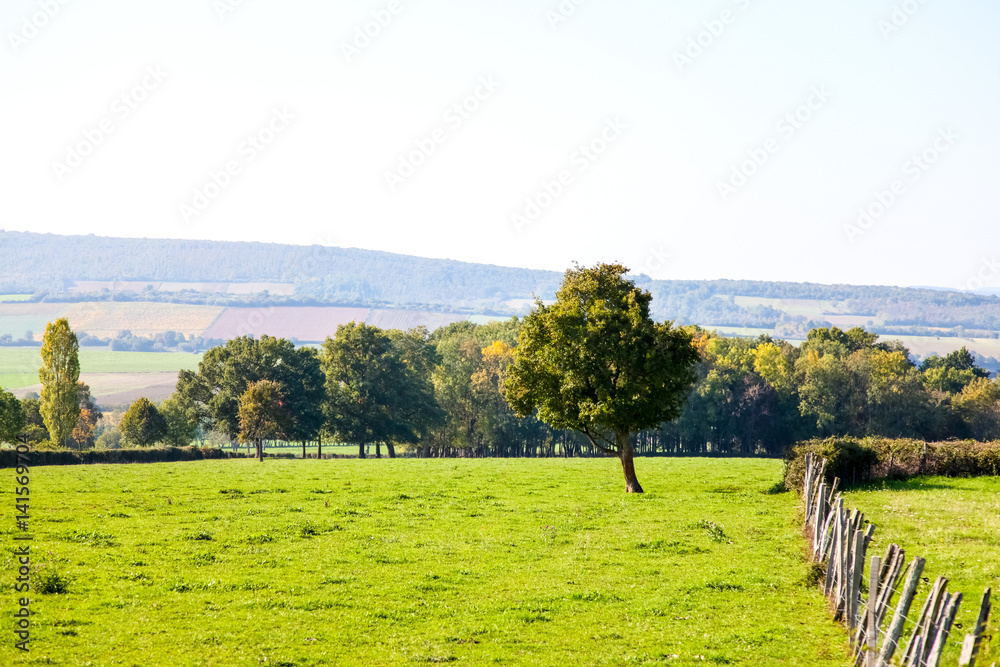 Fototapeta premium landscape