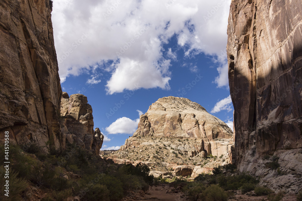 Fototapeta premium Capital Reef Grand Wash