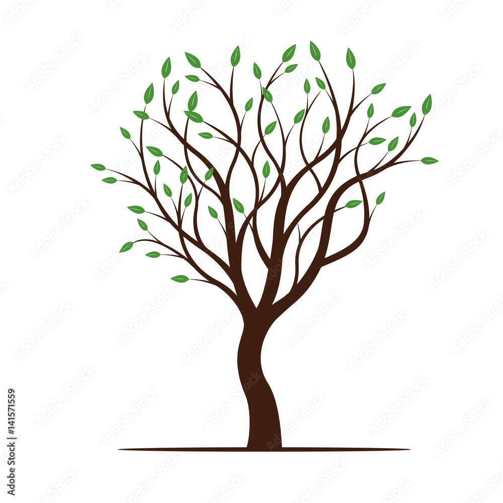 Obraz premium Spring Tree with Green Leafs. Vector Illustration.