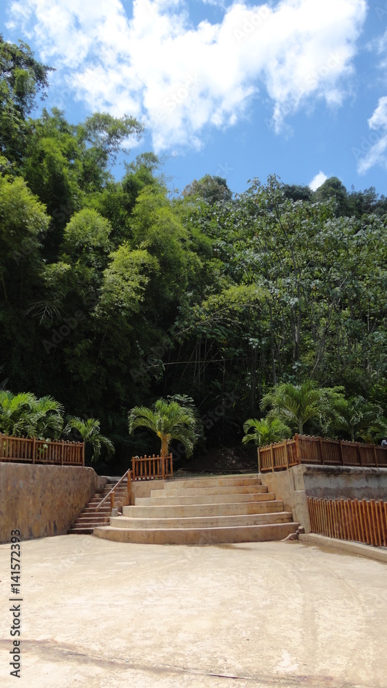 Stairs to the Forest, Caribbean