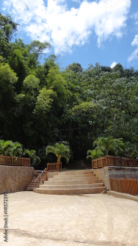Stairs to the Forest, Caribbean