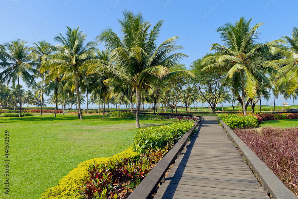 Tropical garden with palm trees and flowers. Goa, India Tropical garden with palm trees and flowers. Goa, India